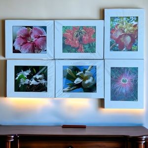 Set of 6 Brenda Brown Taylor Signed Photo Prints Matted 11”x14" Photo 8”x10"